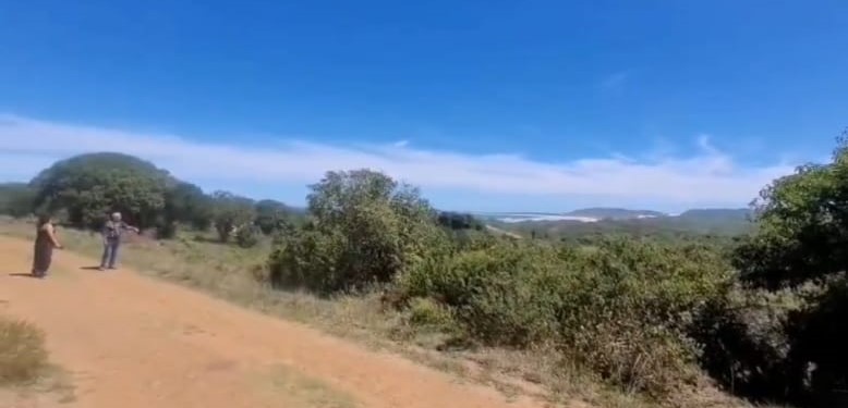 0 Bedroom Property for Sale in Oyster Bay Eastern Cape